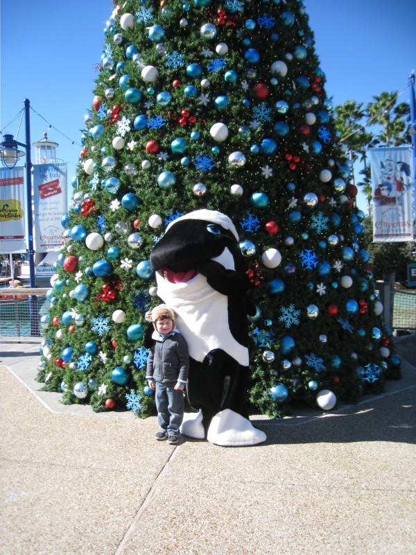 Christmas at Sea World
