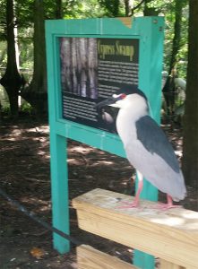 Wildlife preserve at Flamingo Gardens Fort Lauderdale Florida red eyed bird and Everglades sign